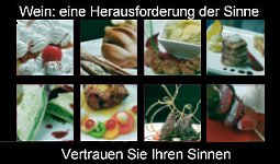 Einblick aus dem Weinseminar 1