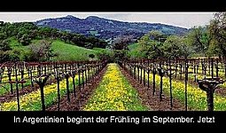 Einblick aus dem Weinseminar 5